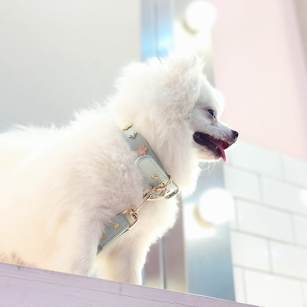 PU Leather Dog Leash with Rhinestone [X801]Cute Diamond & Flower