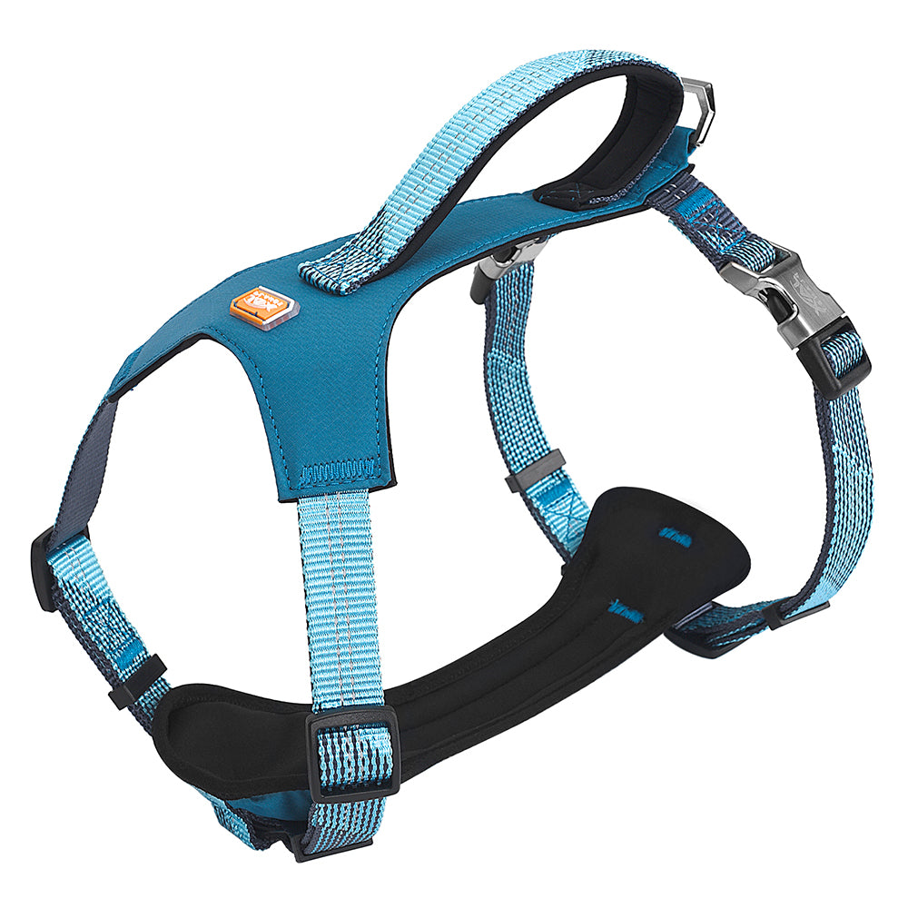 Elma shop dog clearance harness
