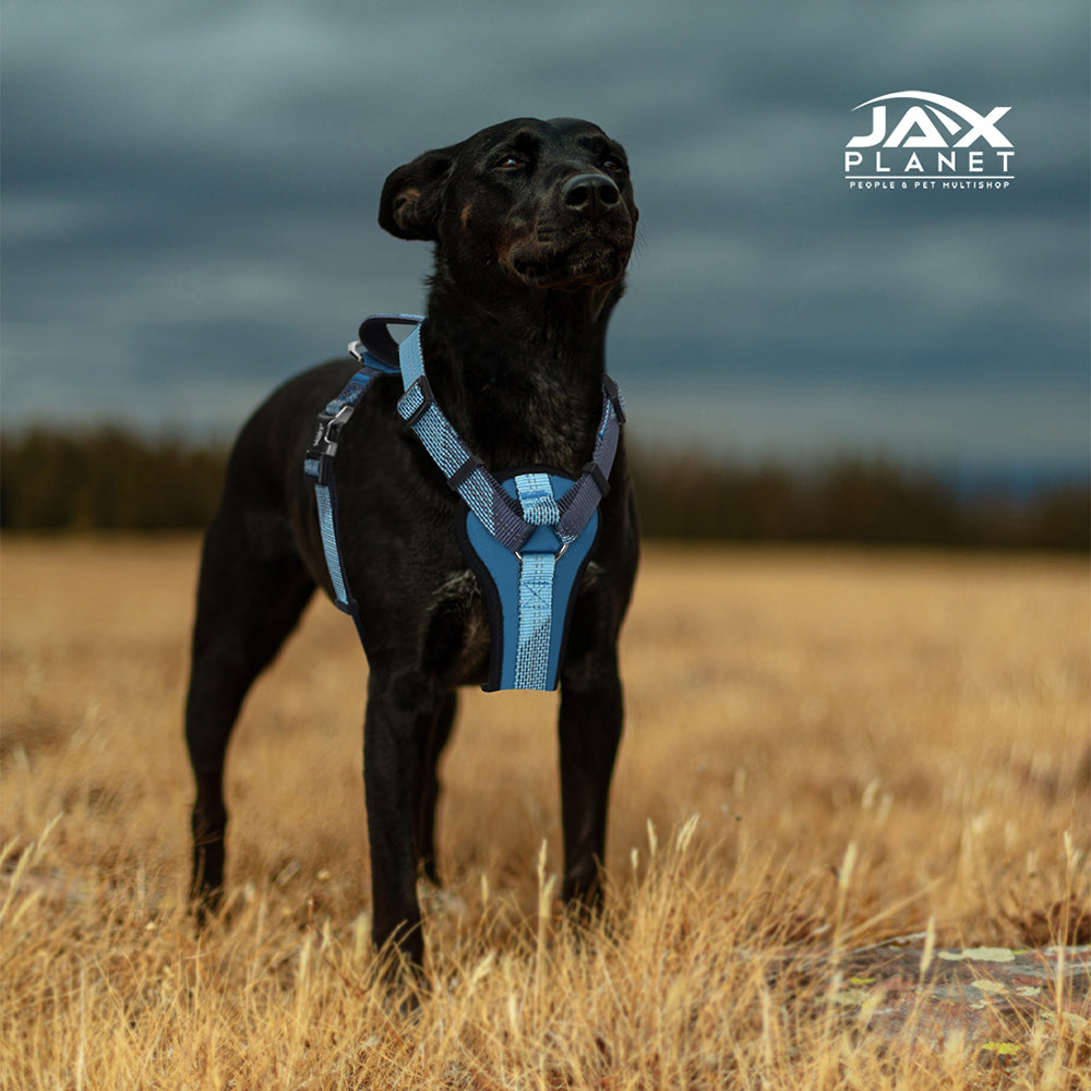 Dog Harness with Handle -[Neoman ZLHA-009]:All In One No